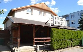 Penzion u Hada